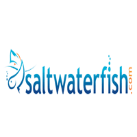 SaltwaterFish