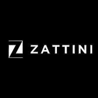 Zattini