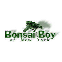 Bonsai Boy Of New York