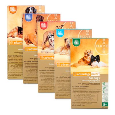 Advantage Multi for Dog