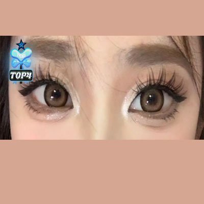 Brownie Cake Contact Lenses