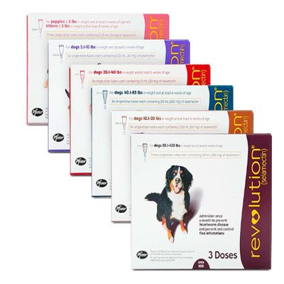 Revolution (Monthly) (Selamectin)