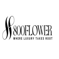 800 Flower