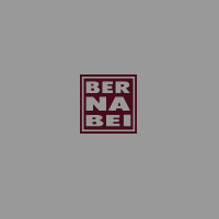Bernabei IT