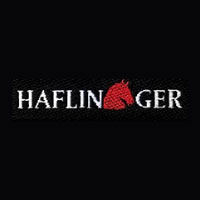 Haflinger