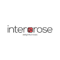 Inter Rose