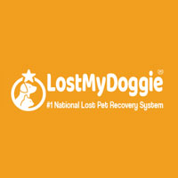 Lost My Doggie