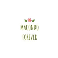 Macondo Forever