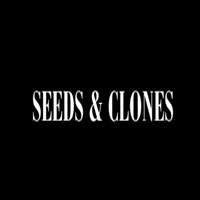 Seeds & Clones