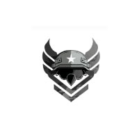 Camo Division