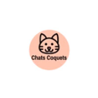 Chats Coquets