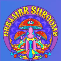 Dreamer Shrooms