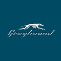 Greyhound