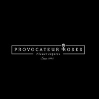 Provocateur Roses
