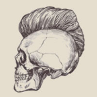 ReHair System