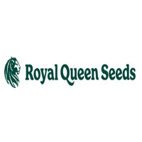 Royal Queen Seeds PT