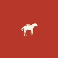 Seahorse Chocolate