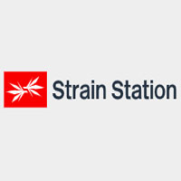 Strain Station