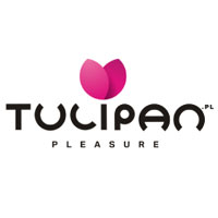 Tulipan