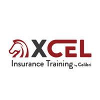 Xcel Solutions